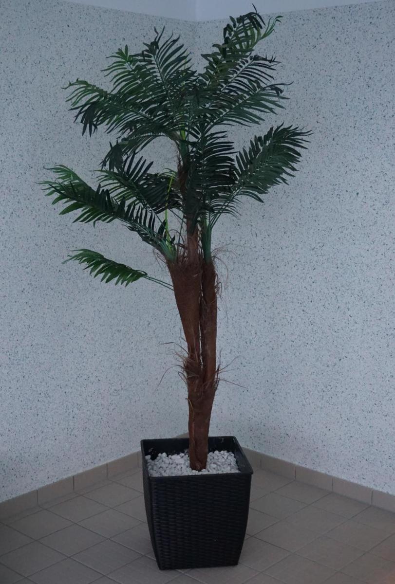 Appartamento Residenz Rosengrund Whg O3 Büsum Esterno foto